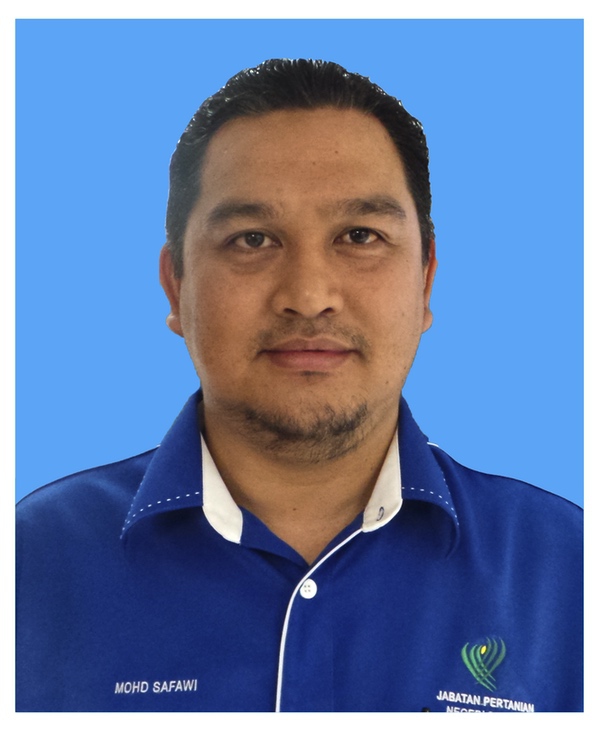 Mohd Safawi bin Ramli